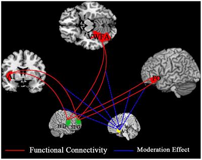 Language Learning Enhanced by Massive Multiple Online Role-Playing Games (MMORPGs) and the Underlying Behavioral and Neural Mechanisms